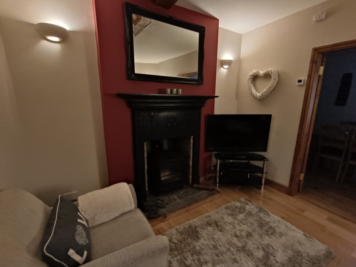 Log burner and flat screen TV