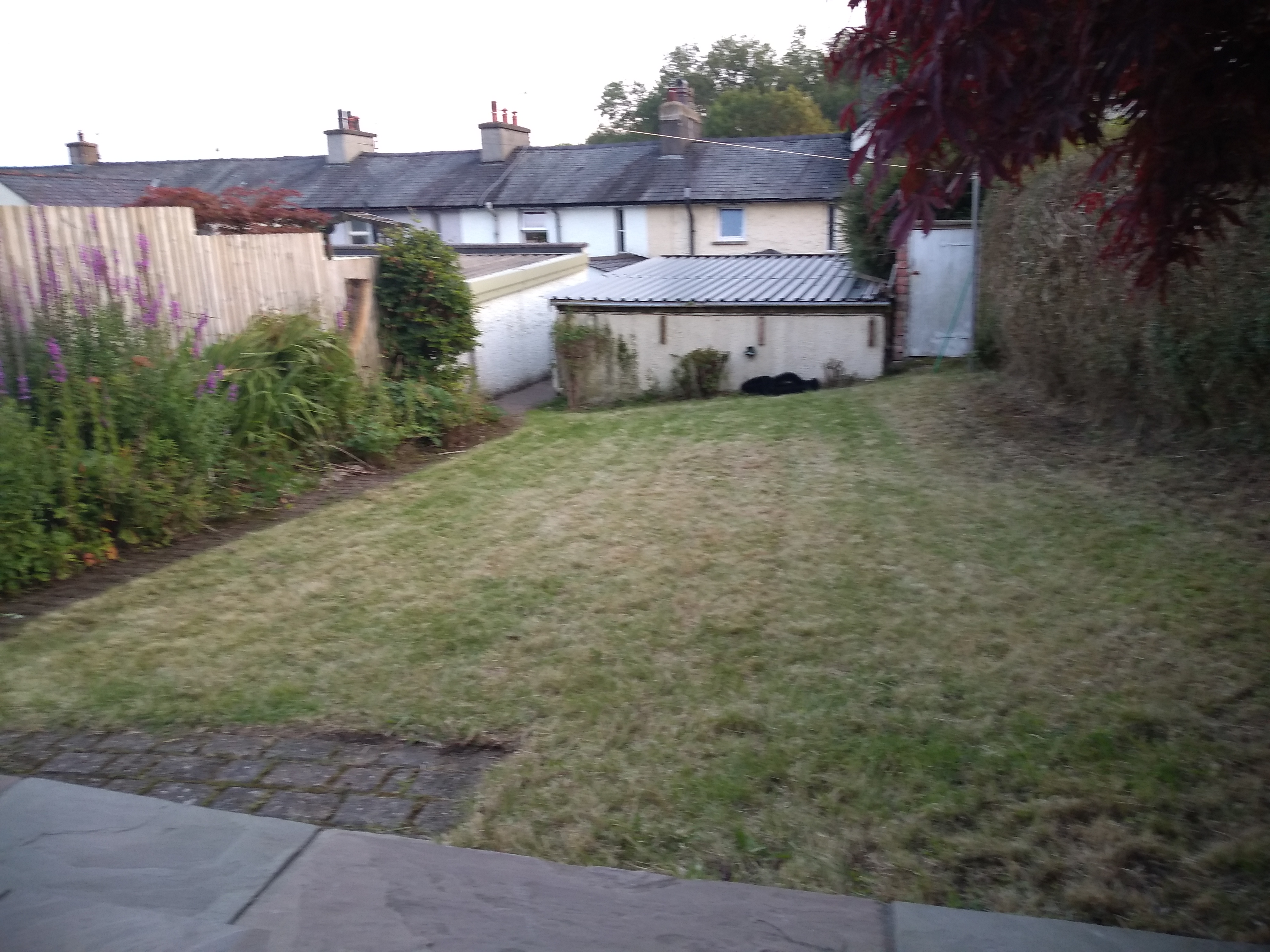 The rear garden viewed from the patio